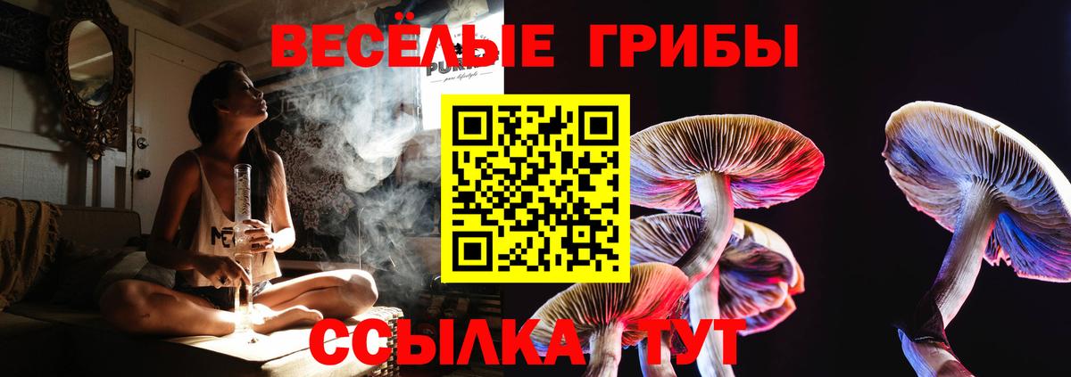 Псилоцибиновые грибы MAGIC MUSHROOMS Гудермес