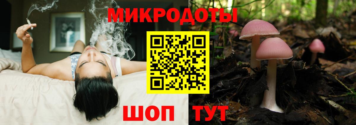 Гудермес  Псилоцибиновые грибы GOLDEN TEACHER  Псилоцибиновые грибы Psilocybe  Вход с VPN 